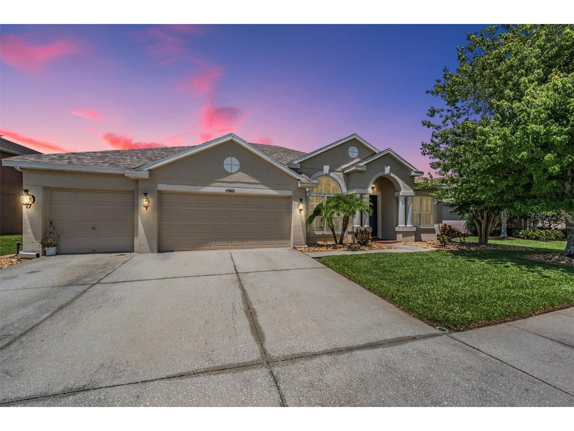 17825 Souter Lane Land O Lakes FL 34638 T3536187 image1