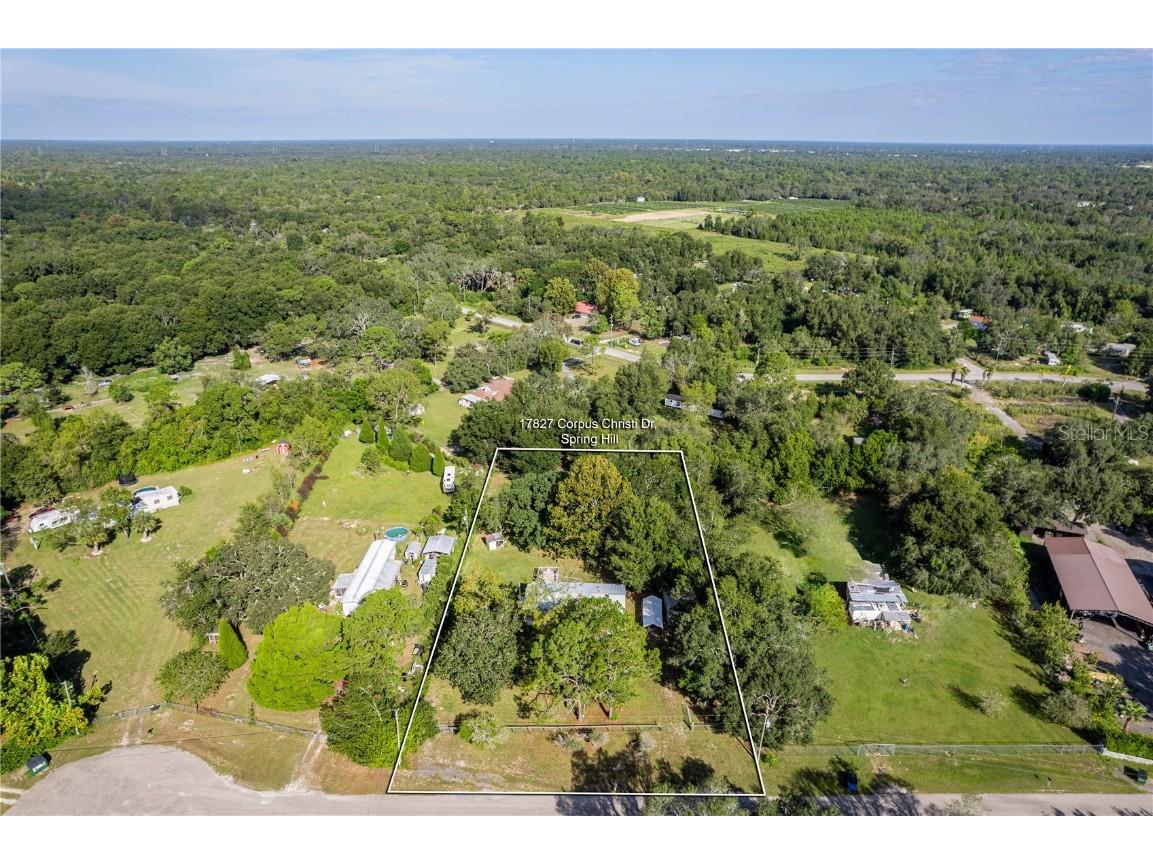 17827 Corpus Christi Drive Spring Hill FL 34610 W7858188 image1