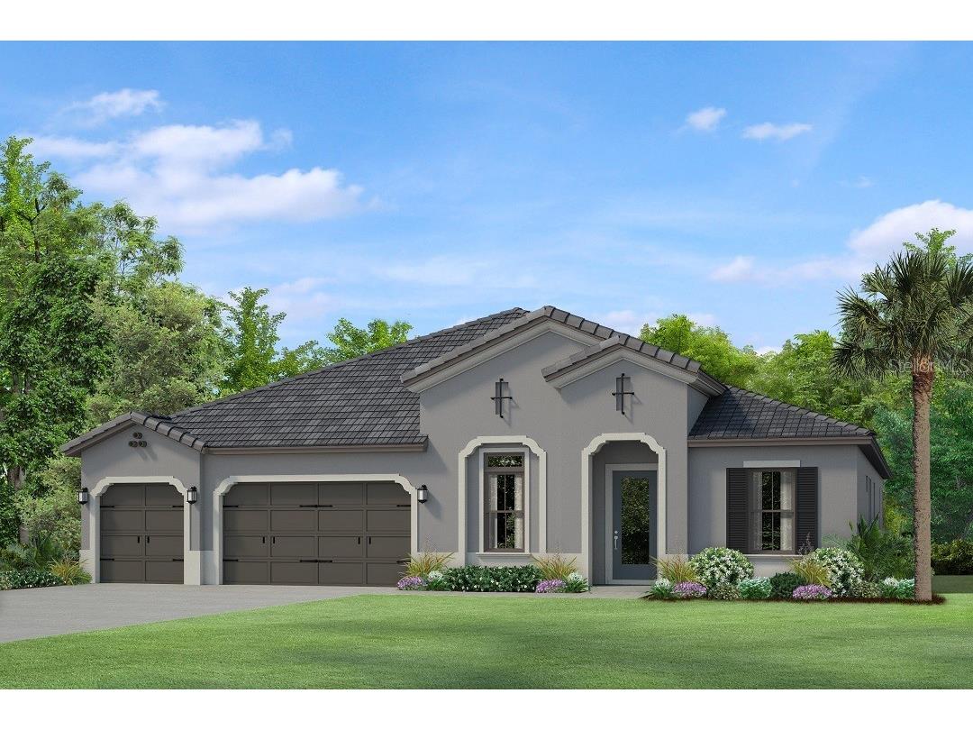 17827 Daisy Farm Drive Lutz FL 33559 T3446549 image1