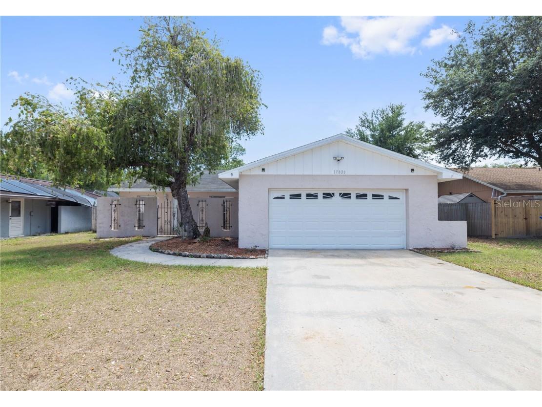 17828 Sunrise Drive Lutz FL 33549 T3441177 image1
