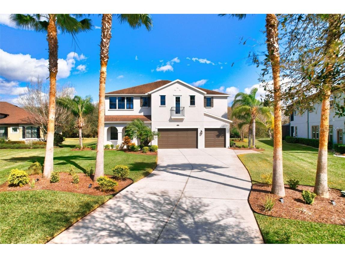 17829 Newcastle Field Drive Lutz FL 33559 T3504806 image1