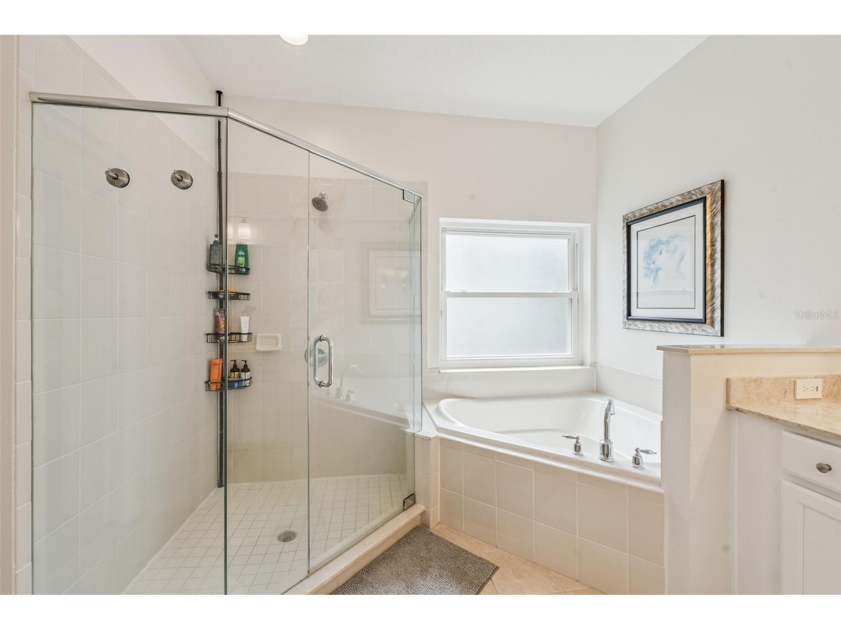 17829 Olive Oak Way Orlando FL 32820 O6418776 image6