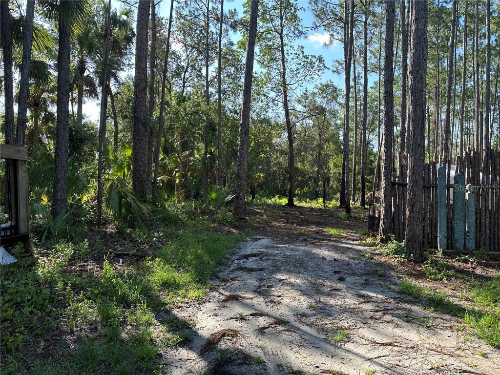 1783 Marsh Way Geneva FL 32732 O6121800 image1