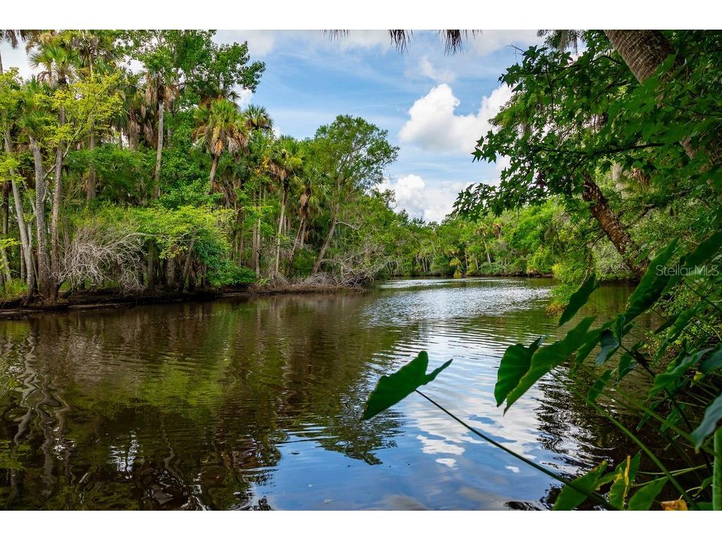 1783 Taylor Road Port Orange FL 32128 O6218575 image1