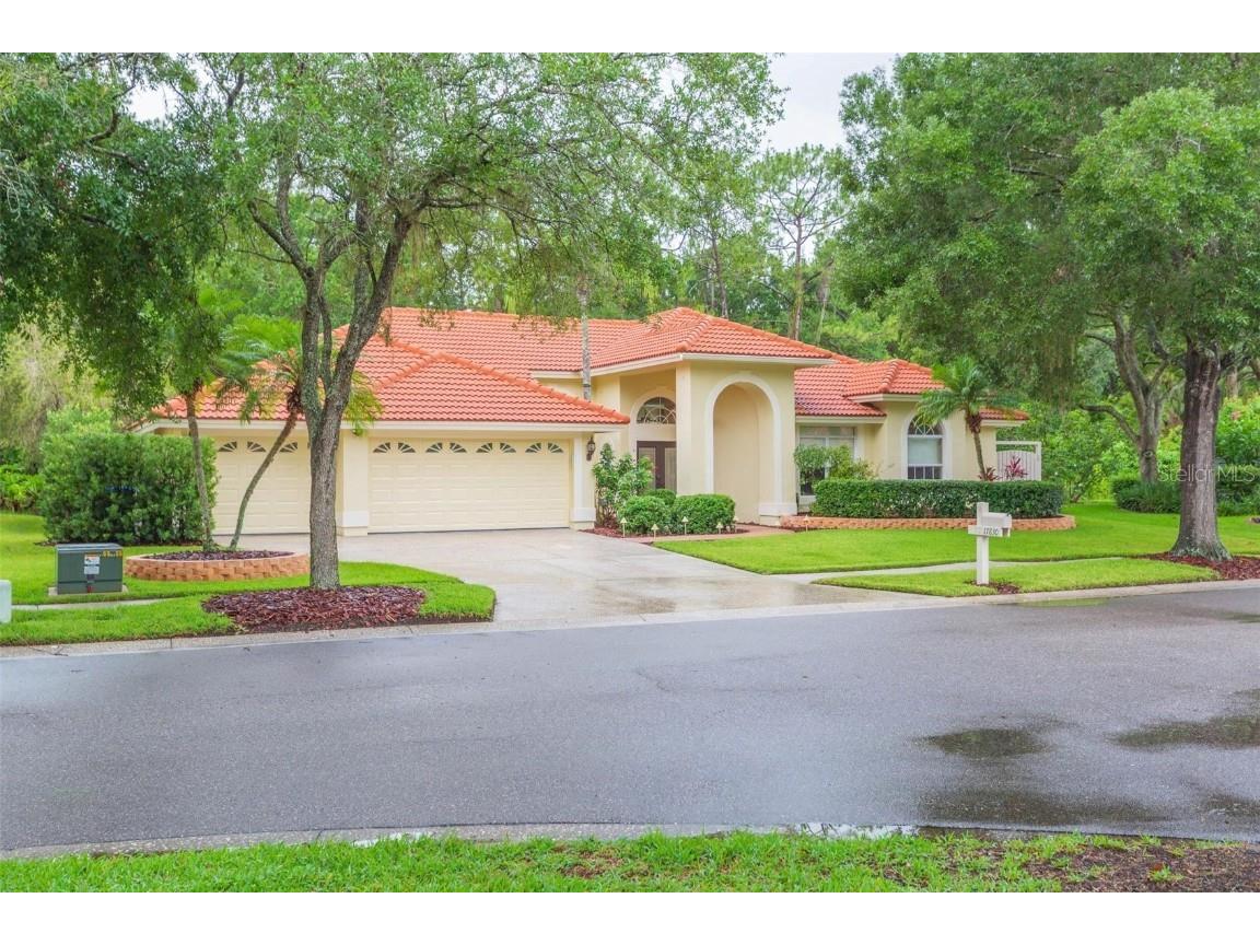 17830 Grey Brooke Drive Tampa FL 33647 TB8406322 image1