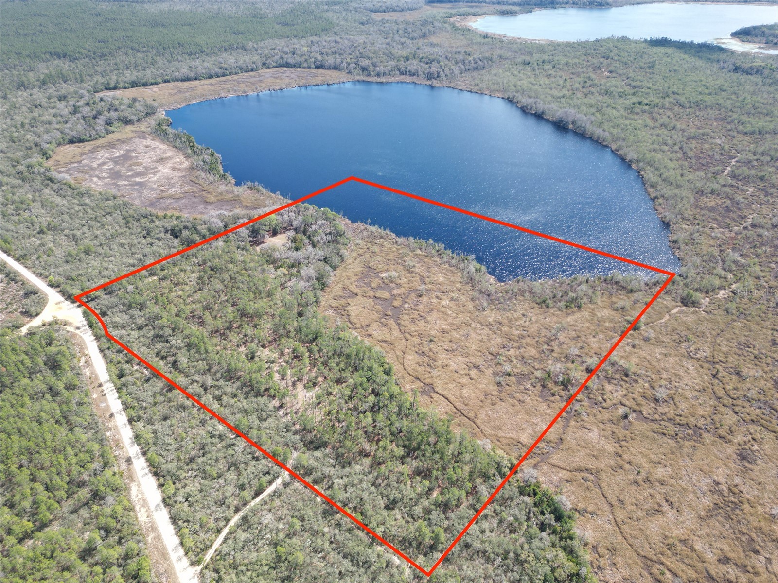 17830 NE 49th Street Road Silver Springs FL 34488 - LAKE LOU GC538082 image1
