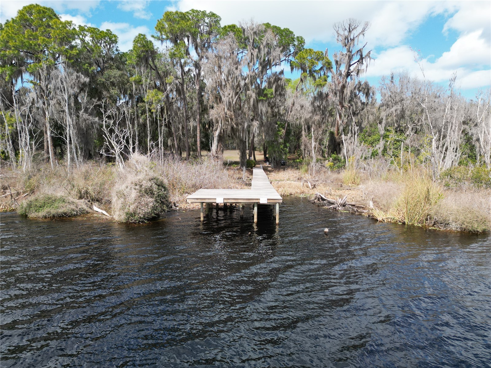 17830 NE 49th Street Road Silver Springs FL 34488 - LAKE LOU GC538082 image10