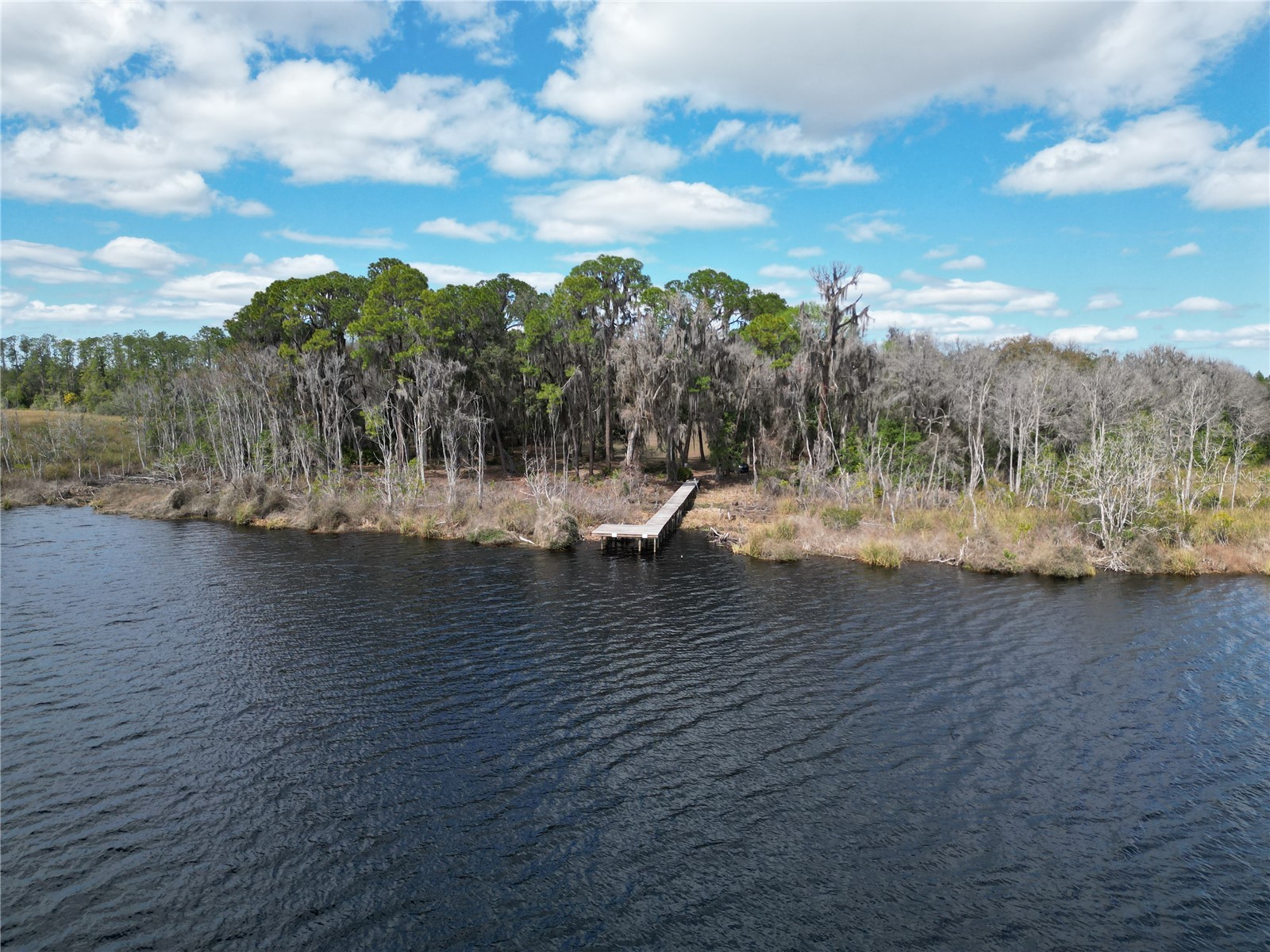 17830 NE 49th Street Road Silver Springs FL 34488 - LAKE LOU GC538082 image11