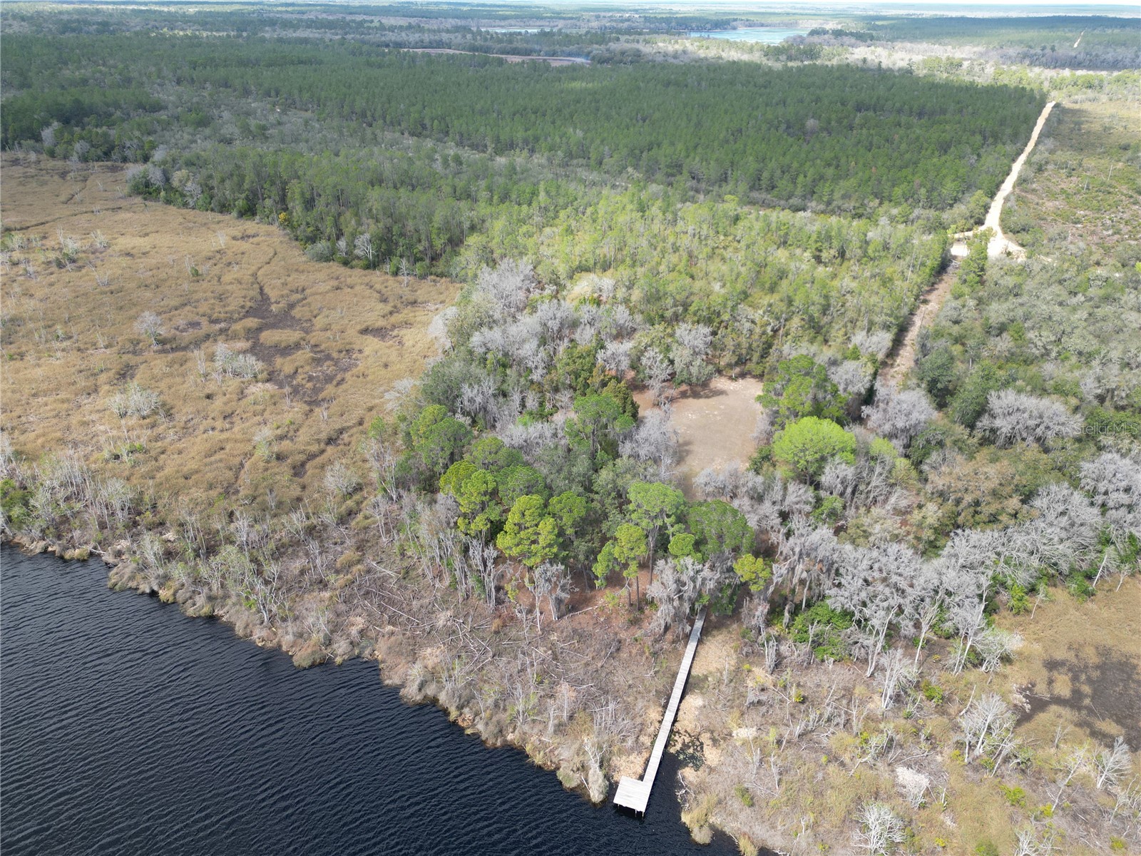 17830 NE 49th Street Road Silver Springs FL 34488 - LAKE LOU GC538082 image12