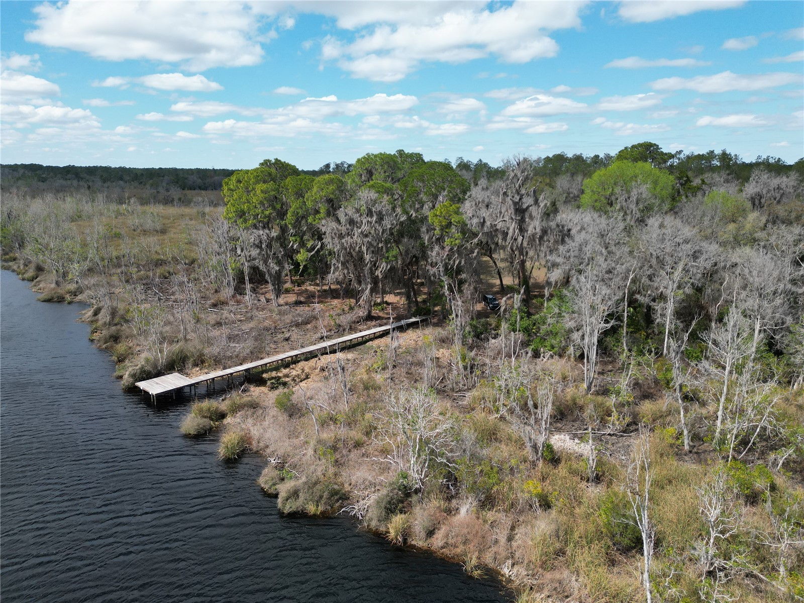 17830 NE 49th Street Road Silver Springs FL 34488 - LAKE LOU GC538082 image13