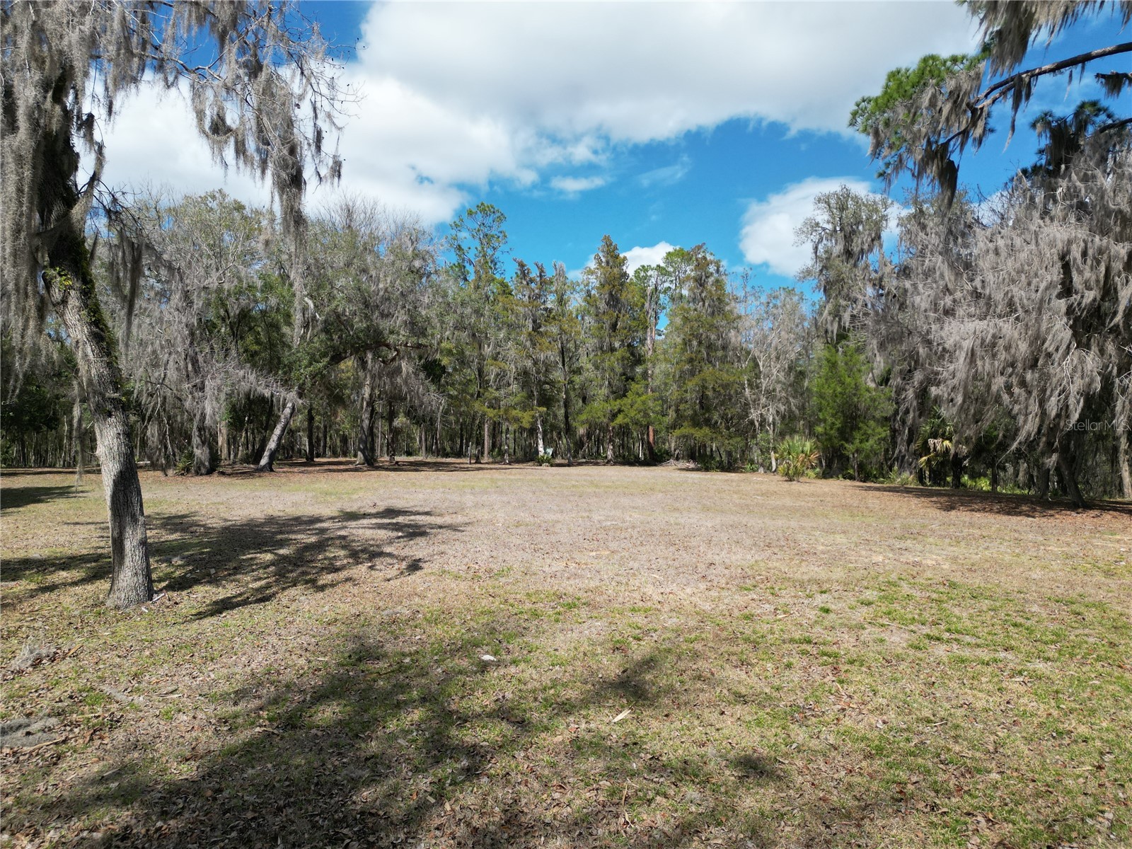 17830 NE 49th Street Road Silver Springs FL 34488 - LAKE LOU GC538082 image15
