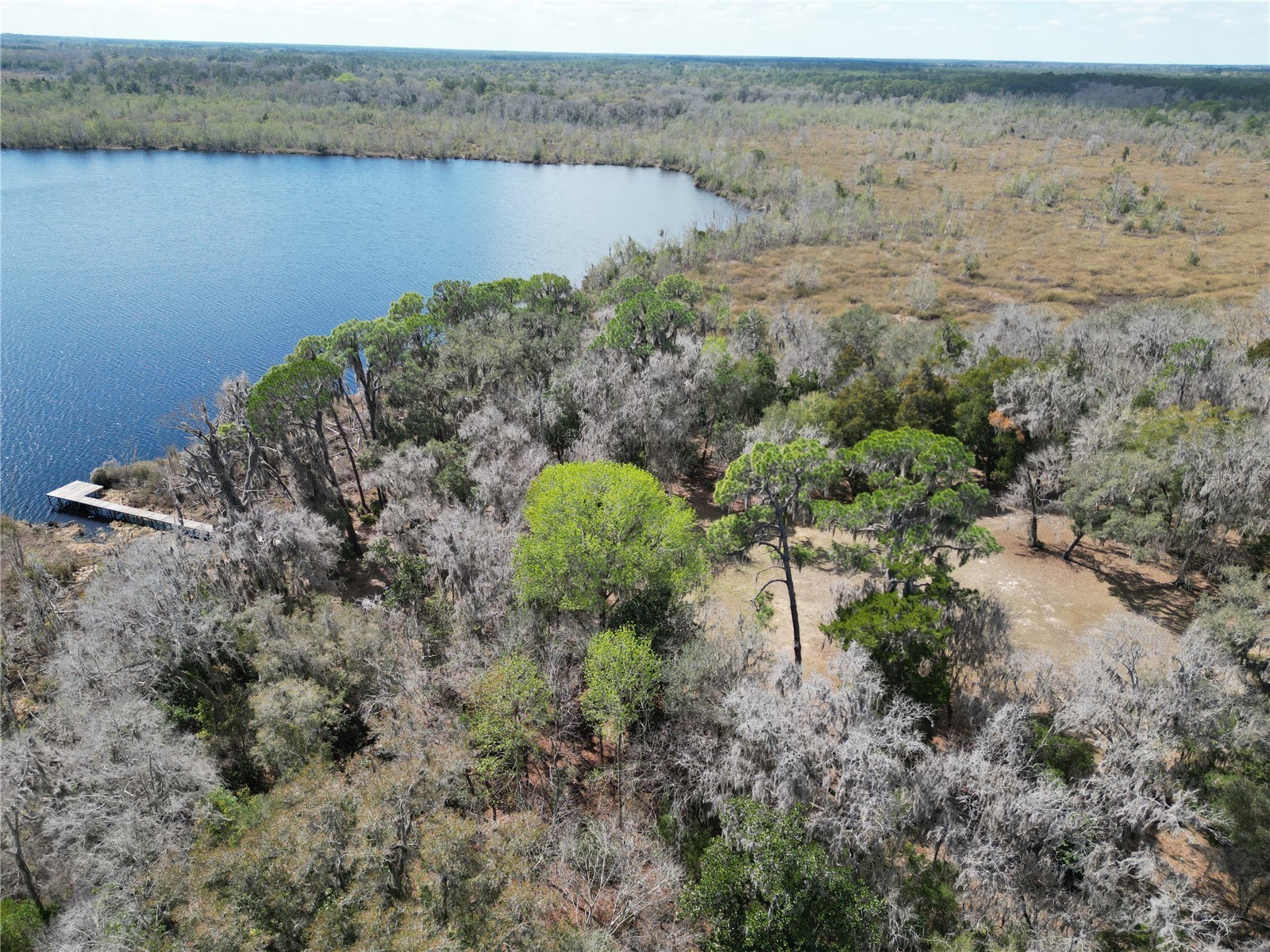 17830 NE 49th Street Road Silver Springs FL 34488 - LAKE LOU GC538082 image17