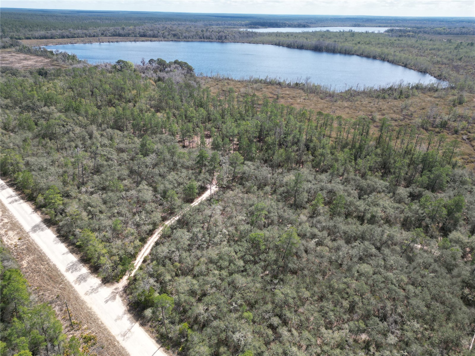 17830 NE 49th Street Road Silver Springs FL 34488 - LAKE LOU GC538082 image18