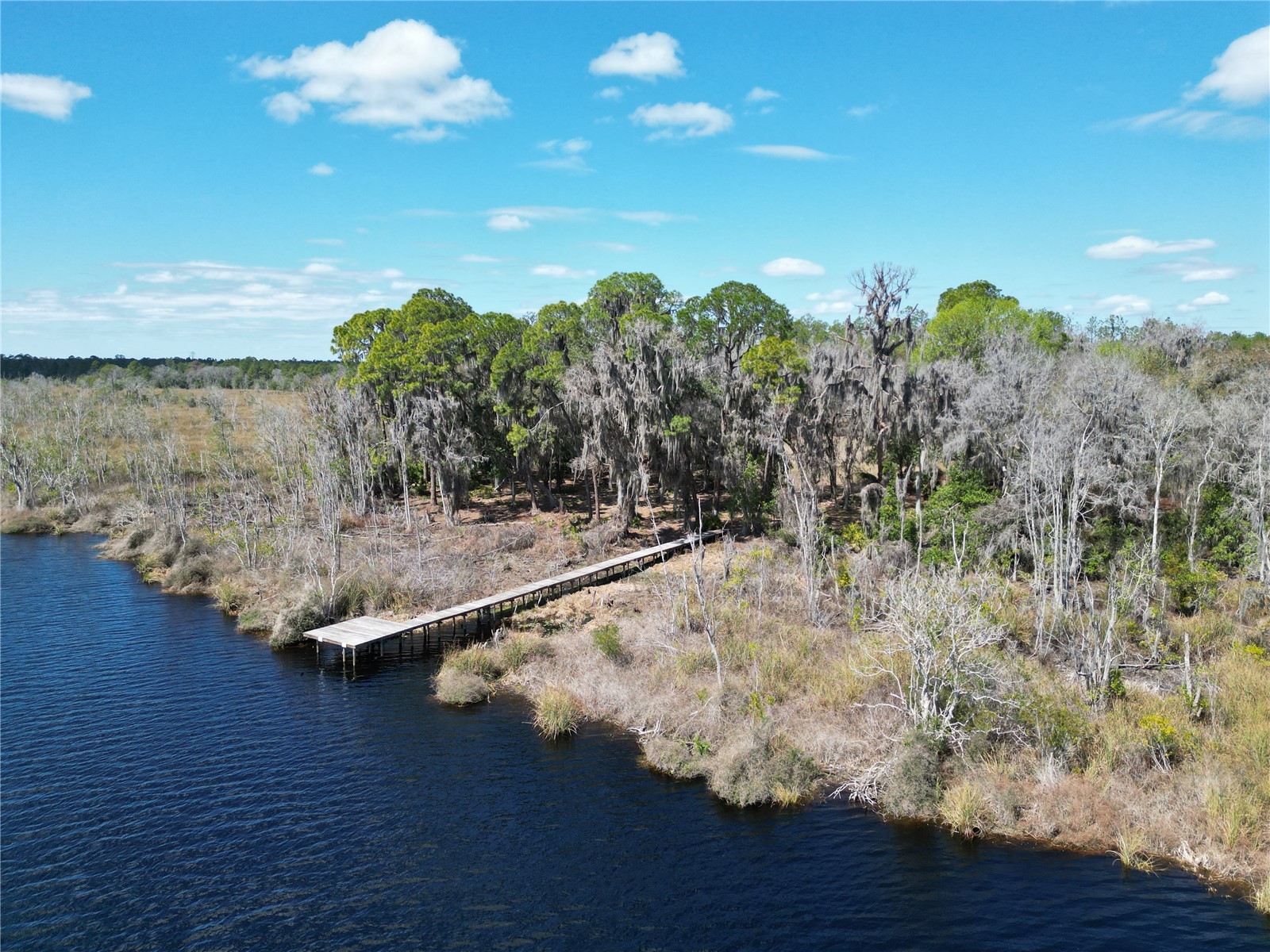 17830 NE 49th Street Road Silver Springs FL 34488 - LAKE LOU GC538082 image19