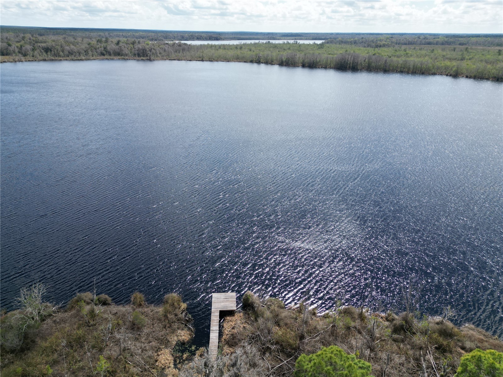 17830 NE 49th Street Road Silver Springs FL 34488 - LAKE LOU GC538082 image2