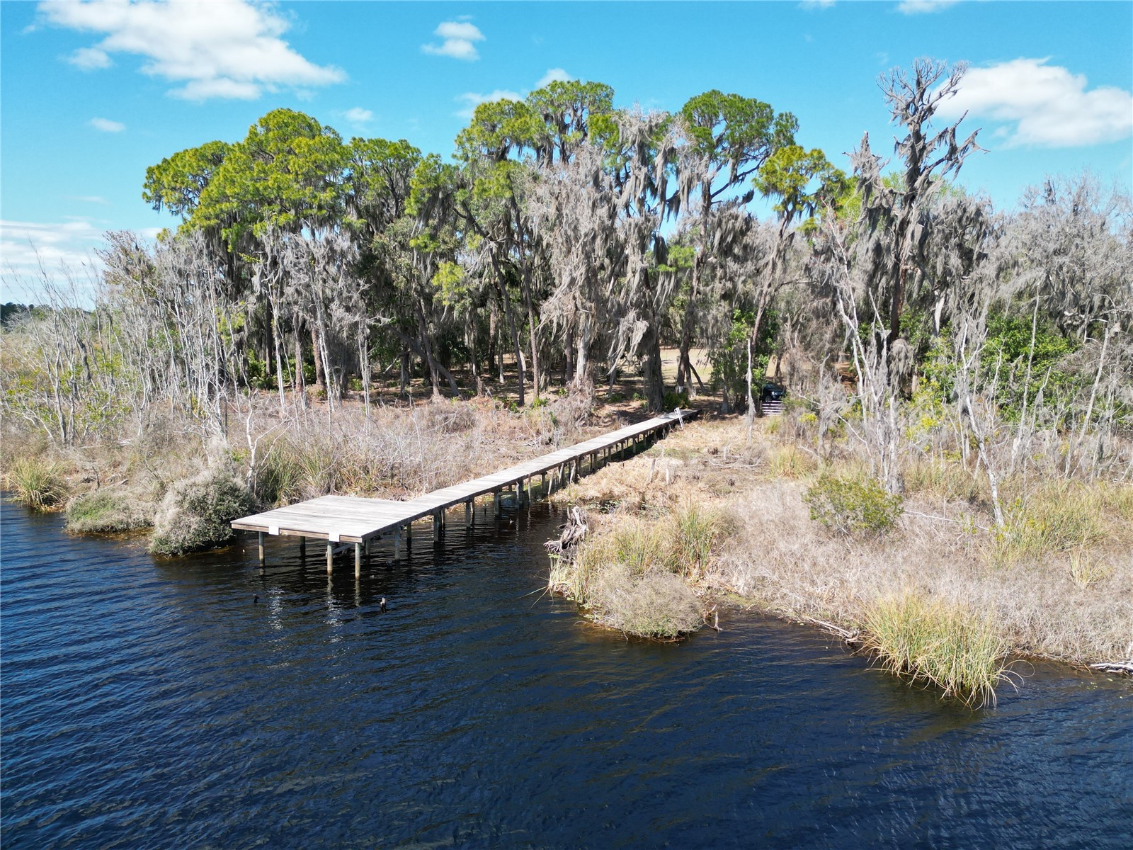 17830 NE 49th Street Road Silver Springs FL 34488 - LAKE LOU GC538082 image20