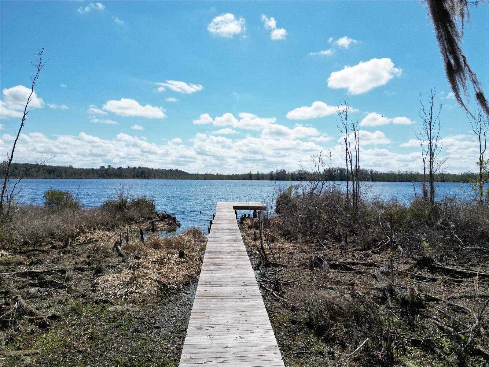 17830 NE 49th Street Road Silver Springs FL 34488 - LAKE LOU GC538082 image21