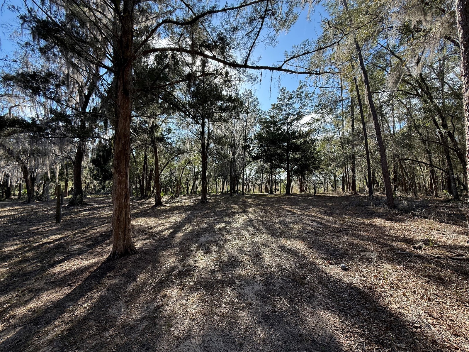 17830 NE 49th Street Road Silver Springs FL 34488 - LAKE LOU GC538082 image22