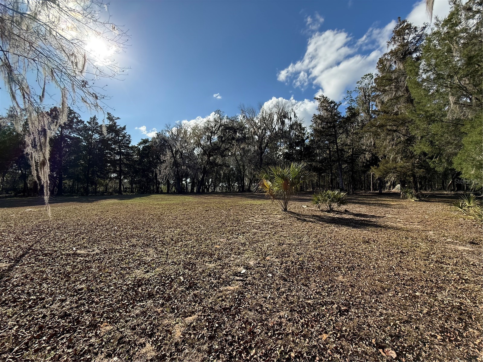 17830 NE 49th Street Road Silver Springs FL 34488 - LAKE LOU GC538082 image23