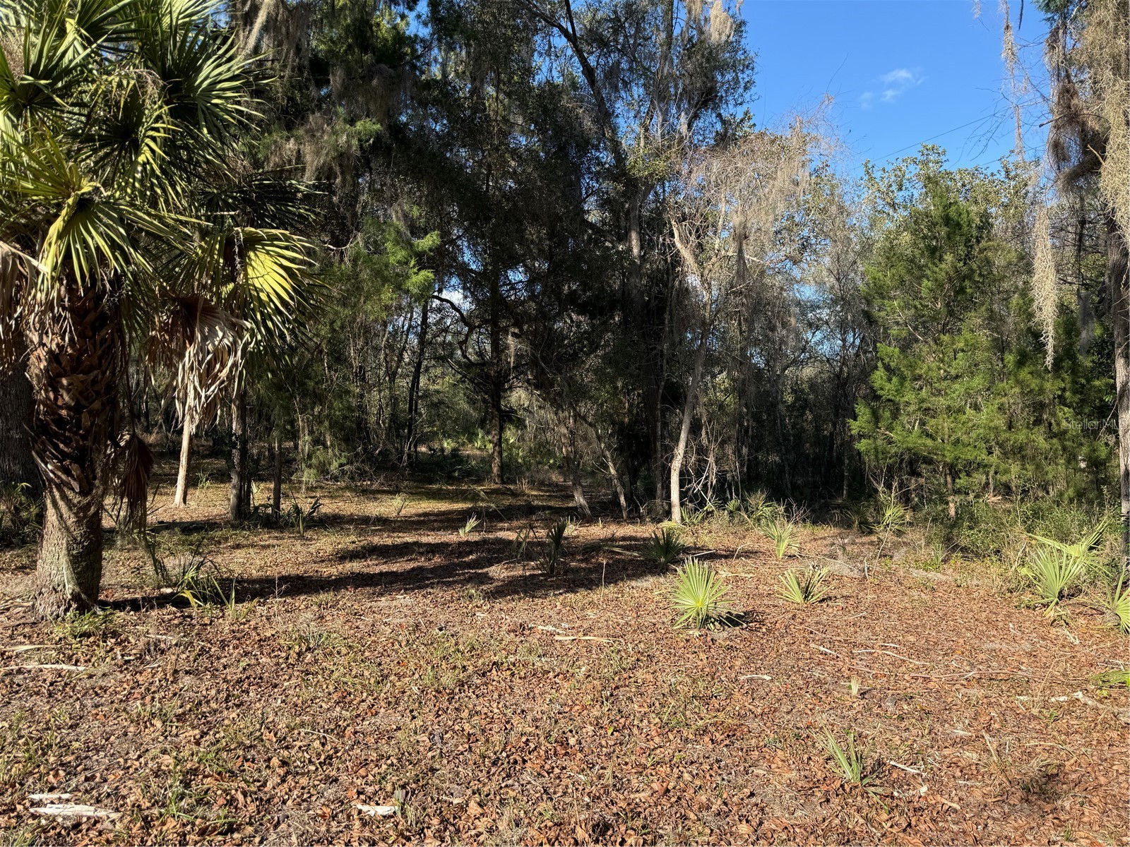 17830 NE 49th Street Road Silver Springs FL 34488 - LAKE LOU GC538082 image24