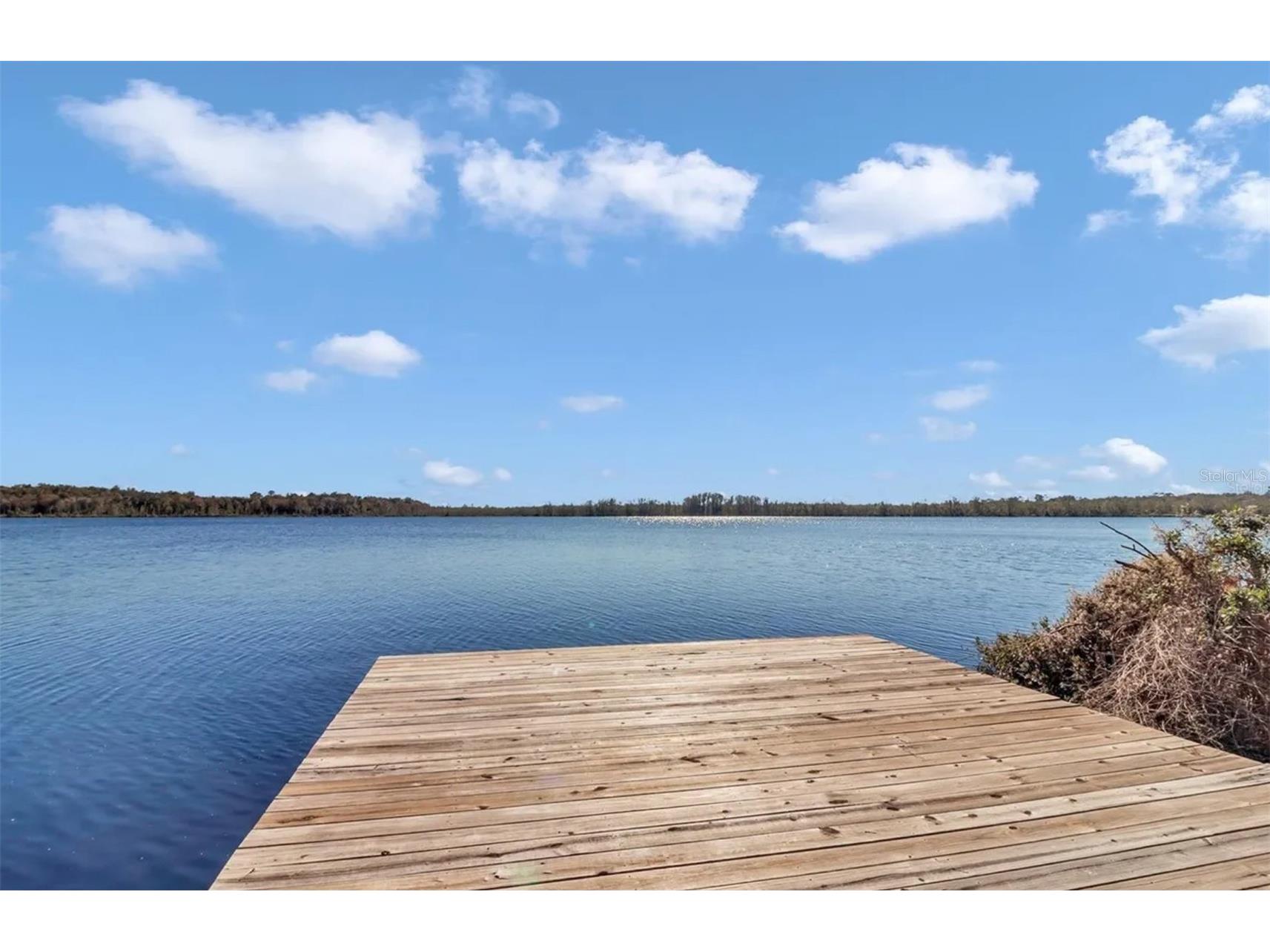 17830 NE 49th Street Road Silver Springs FL 34488 - LAKE LOU GC538082 image3