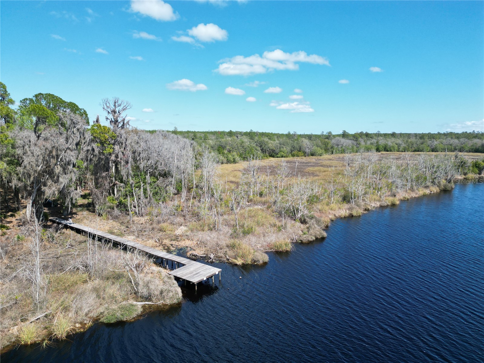 17830 NE 49th Street Road Silver Springs FL 34488 - LAKE LOU GC538082 image4