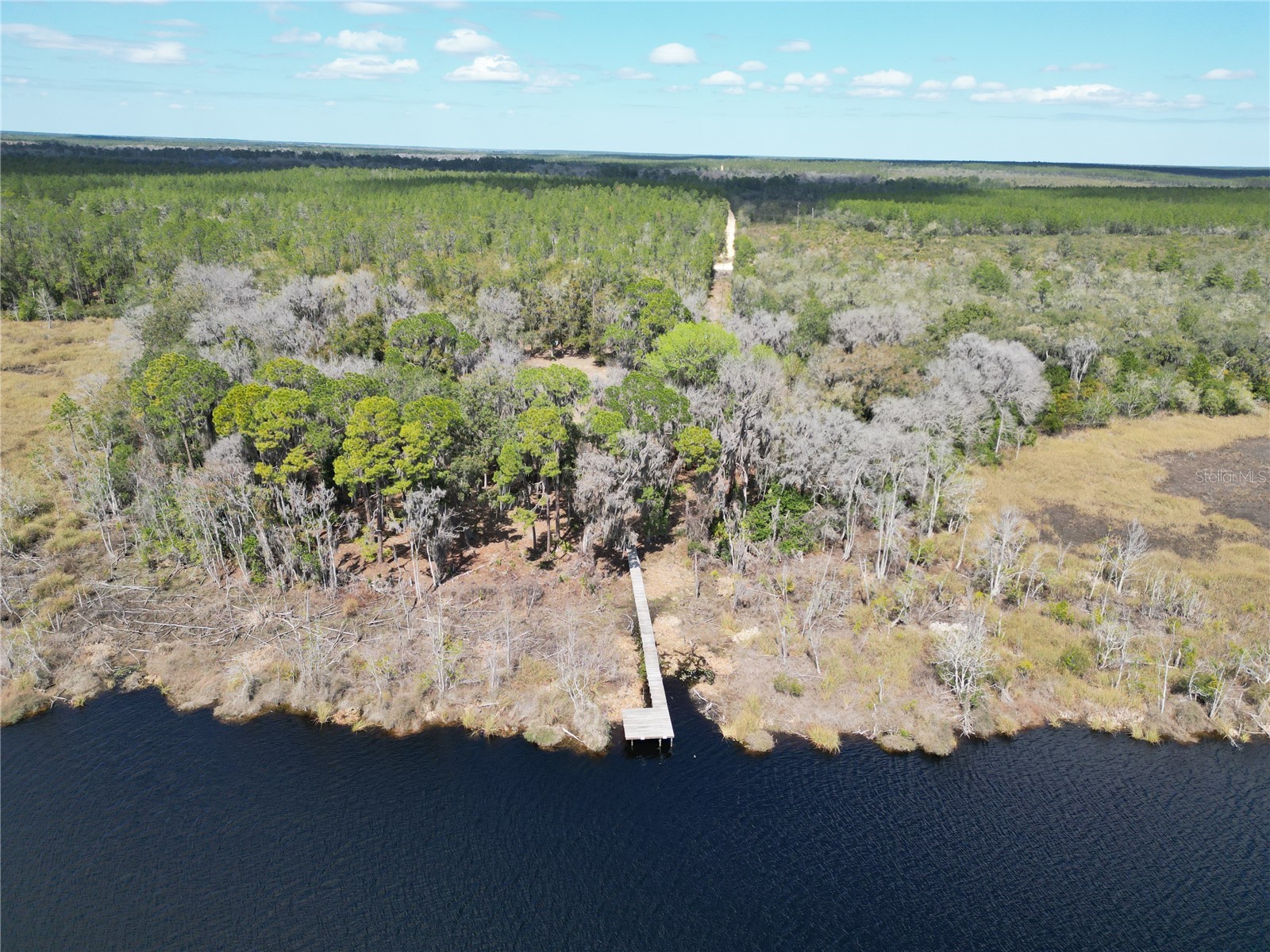 17830 NE 49th Street Road Silver Springs FL 34488 - LAKE LOU GC538082 image6