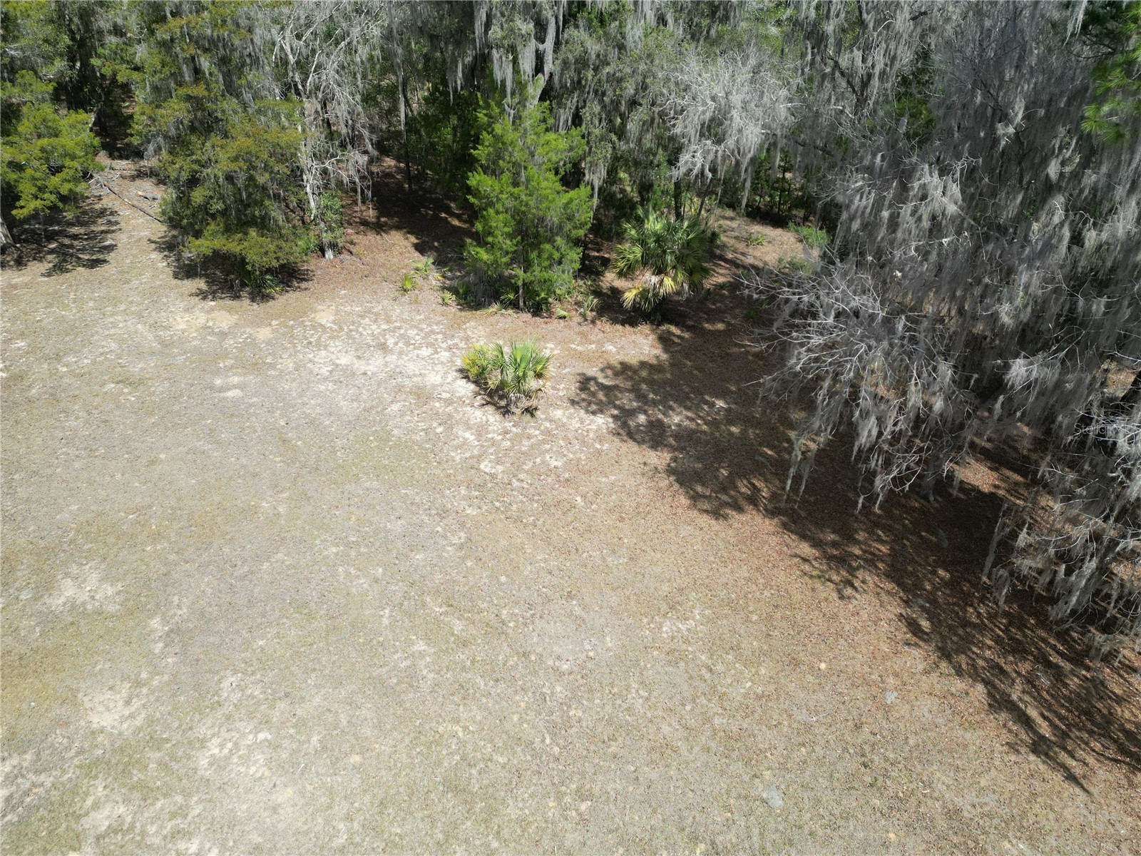 17830 NE 49th Street Road Silver Springs FL 34488 - LAKE LOU GC538082 image7