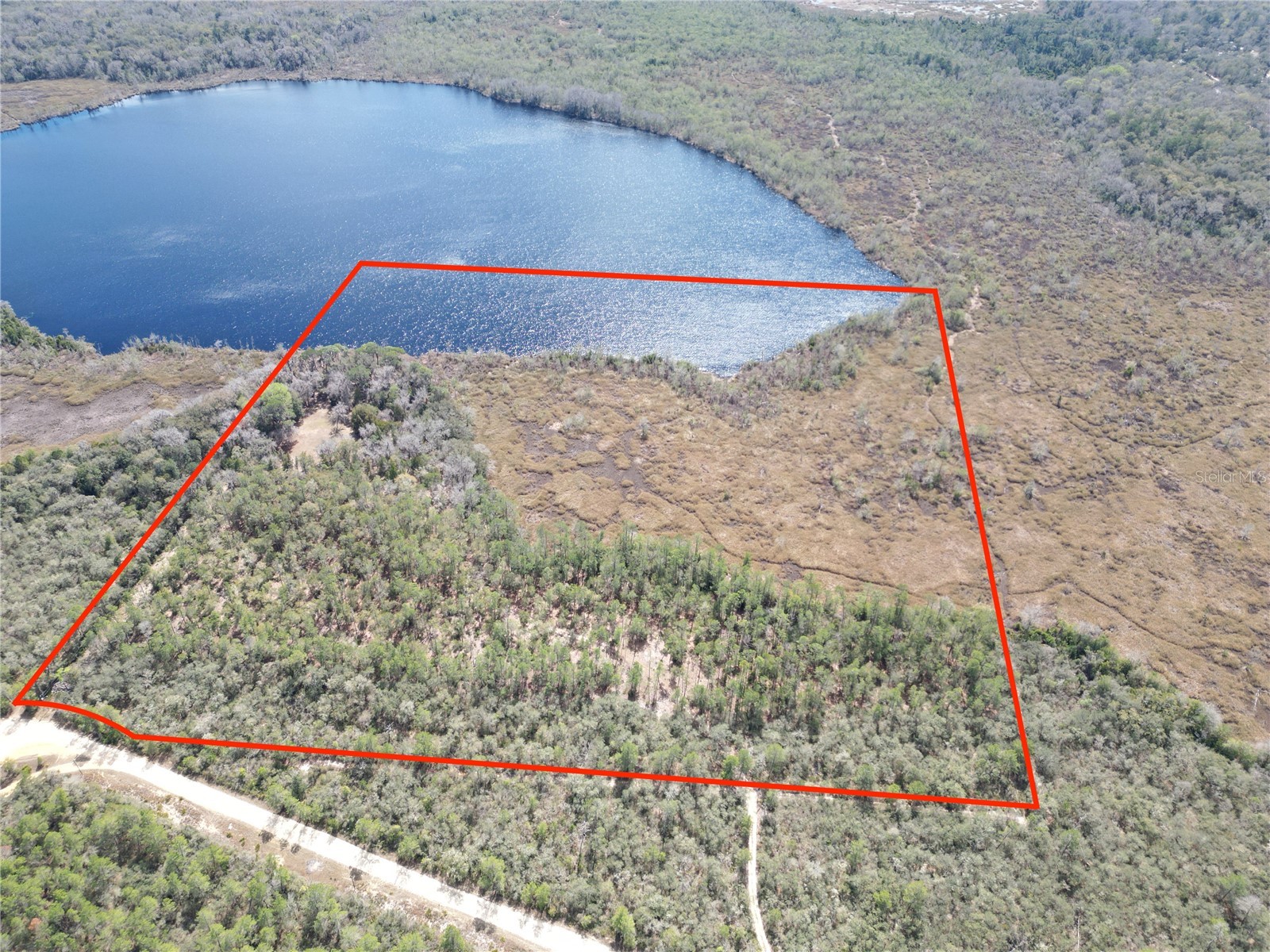 17830 NE 49th Street Road Silver Springs FL 34488 - LAKE LOU GC538082 image8