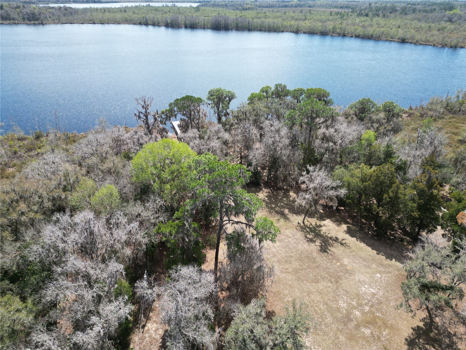 17830 NE 49th Street Road Silver Springs FL 34488 - LAKE LOU GC538082 image9