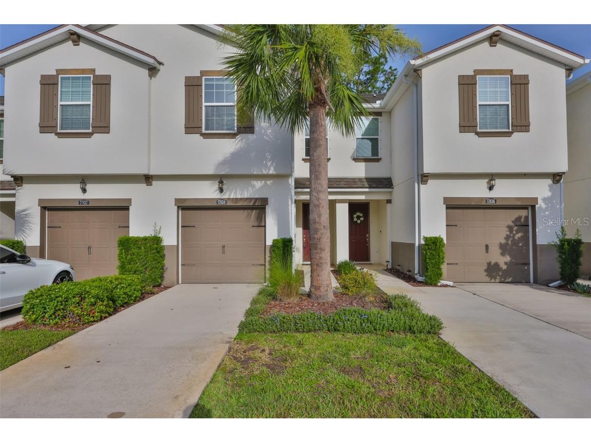 17834 Althea Blue Place Lutz FL 33558 TB8394954 image1