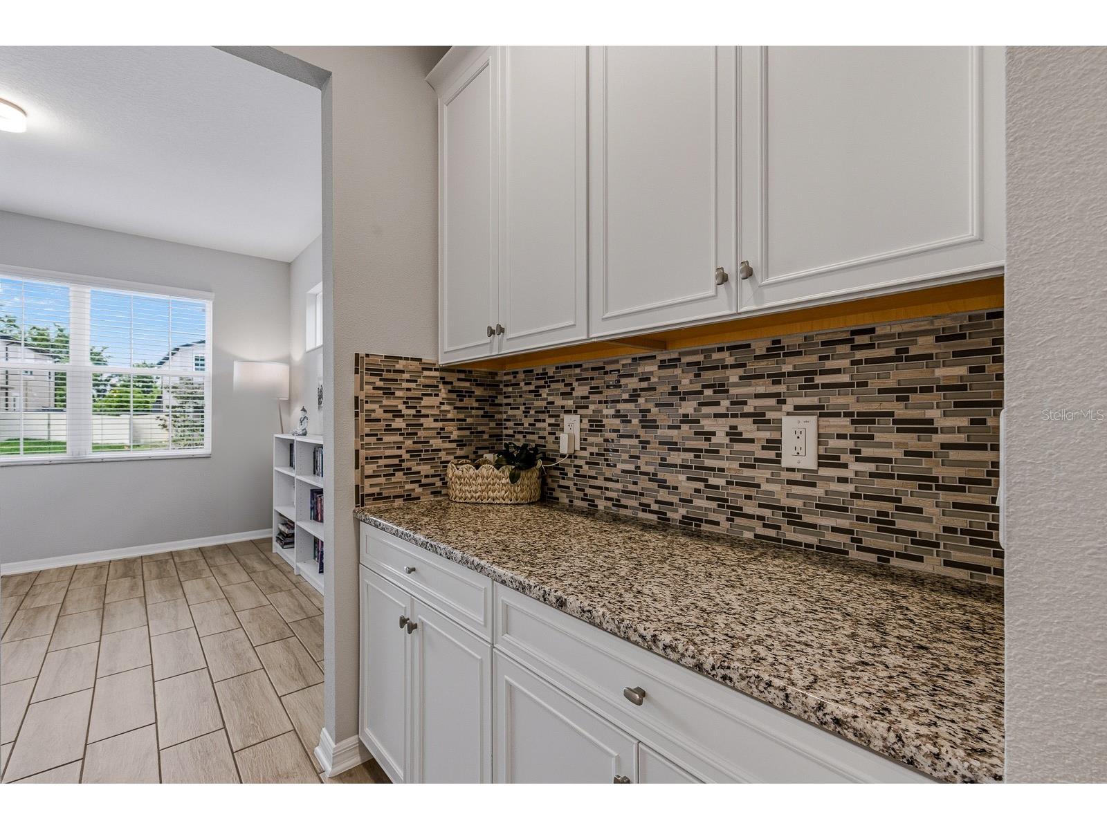 17834 Cortes Creek Boulevard Spring Hill FL 34610 TB8495927 image19