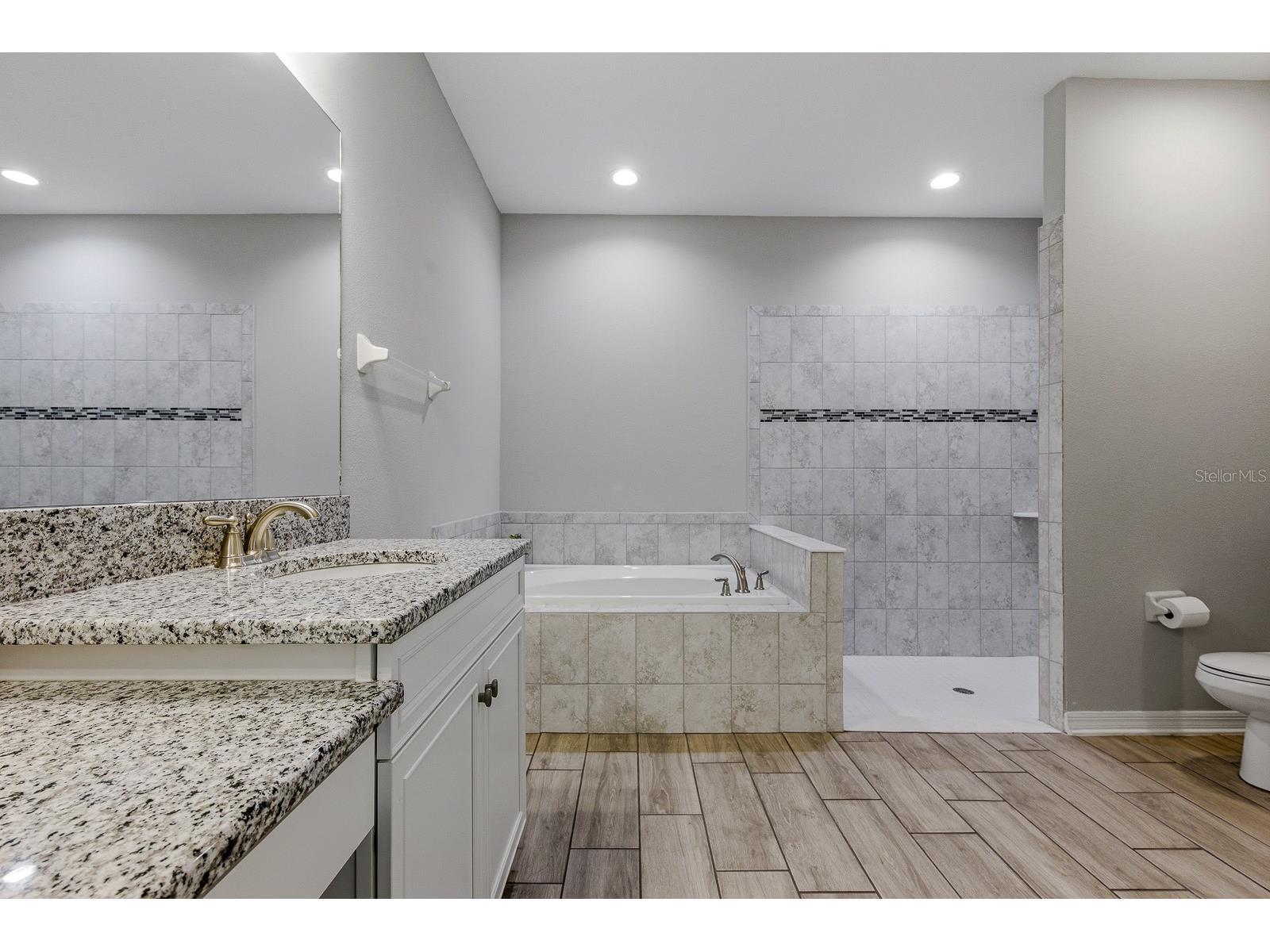 17834 Cortes Creek Boulevard Spring Hill FL 34610 TB8495927 image30