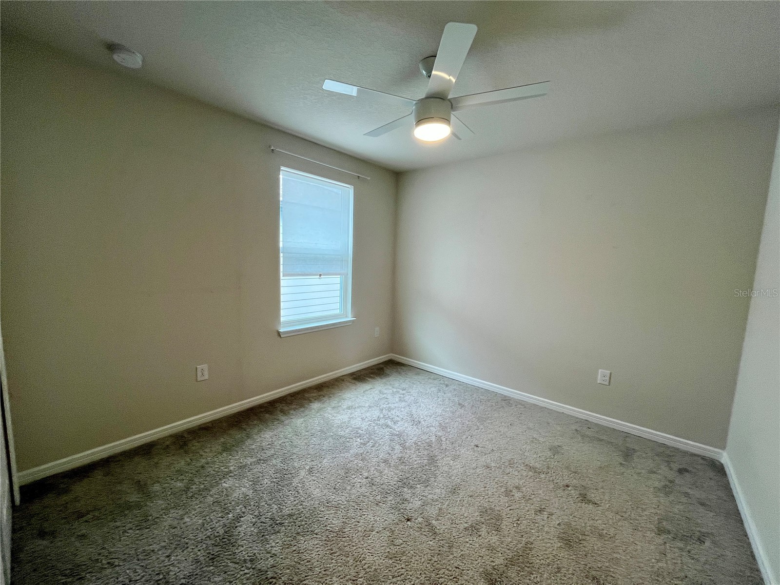 17835 Everlong Drive Land O Lakes FL 34638 TB8512127 image15