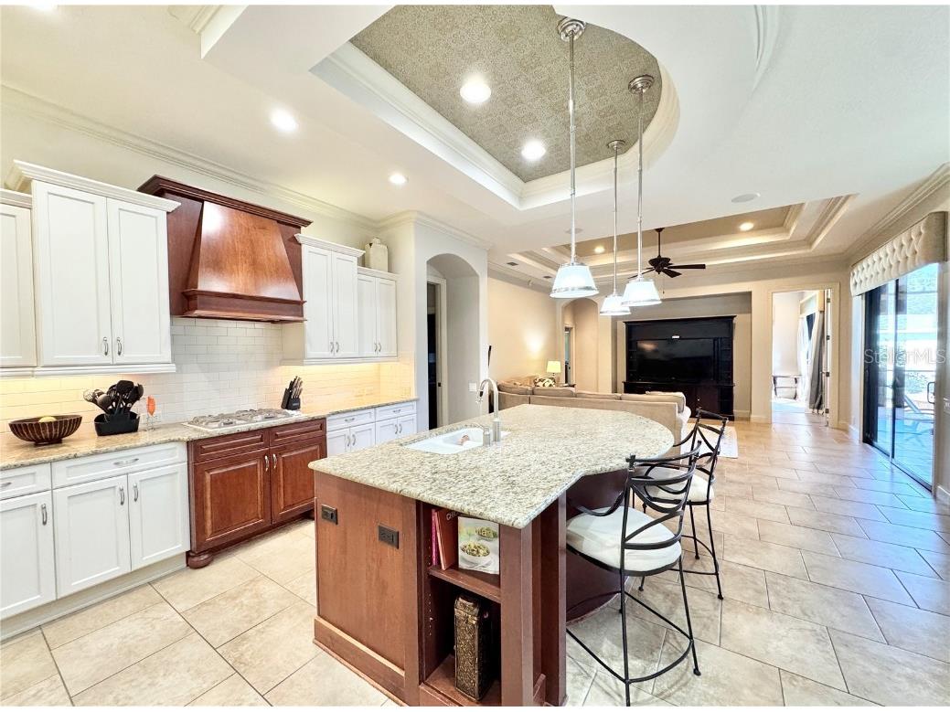 17835 SW 68th Place Dunnellon FL 34432 O6257727 image4