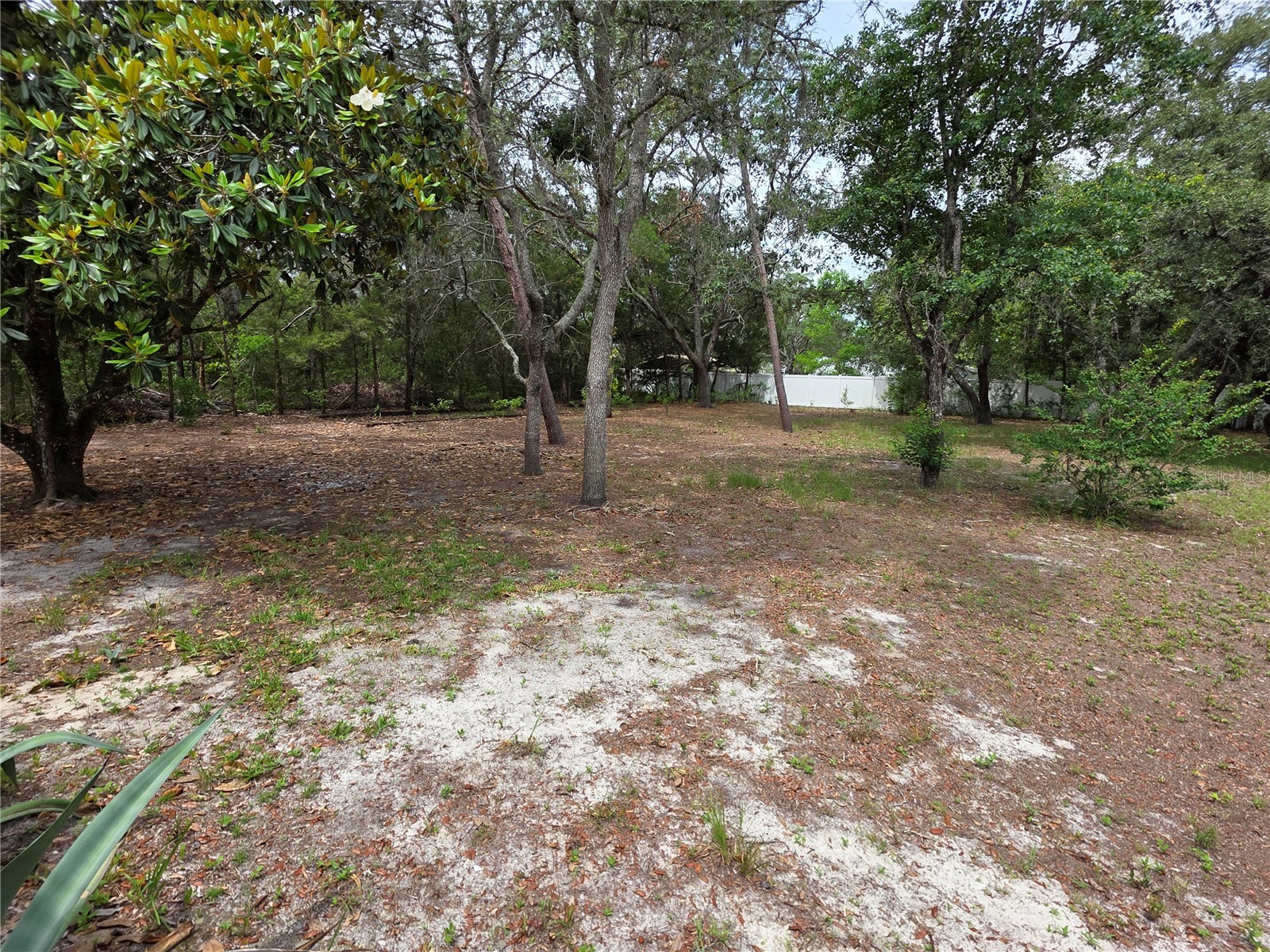 17839 Monteverde Drive Spring Hill FL 34610 W7886567 image21