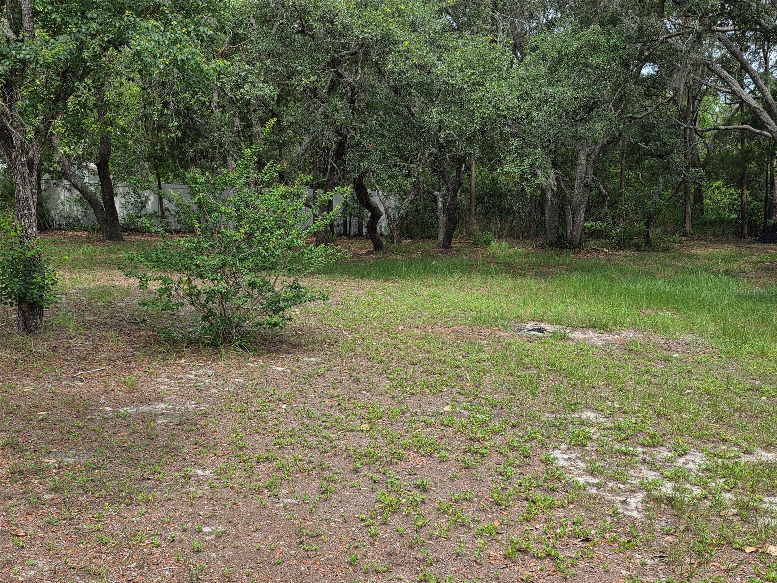 17839 Monteverde Drive Spring Hill FL 34610 W7886567 image23