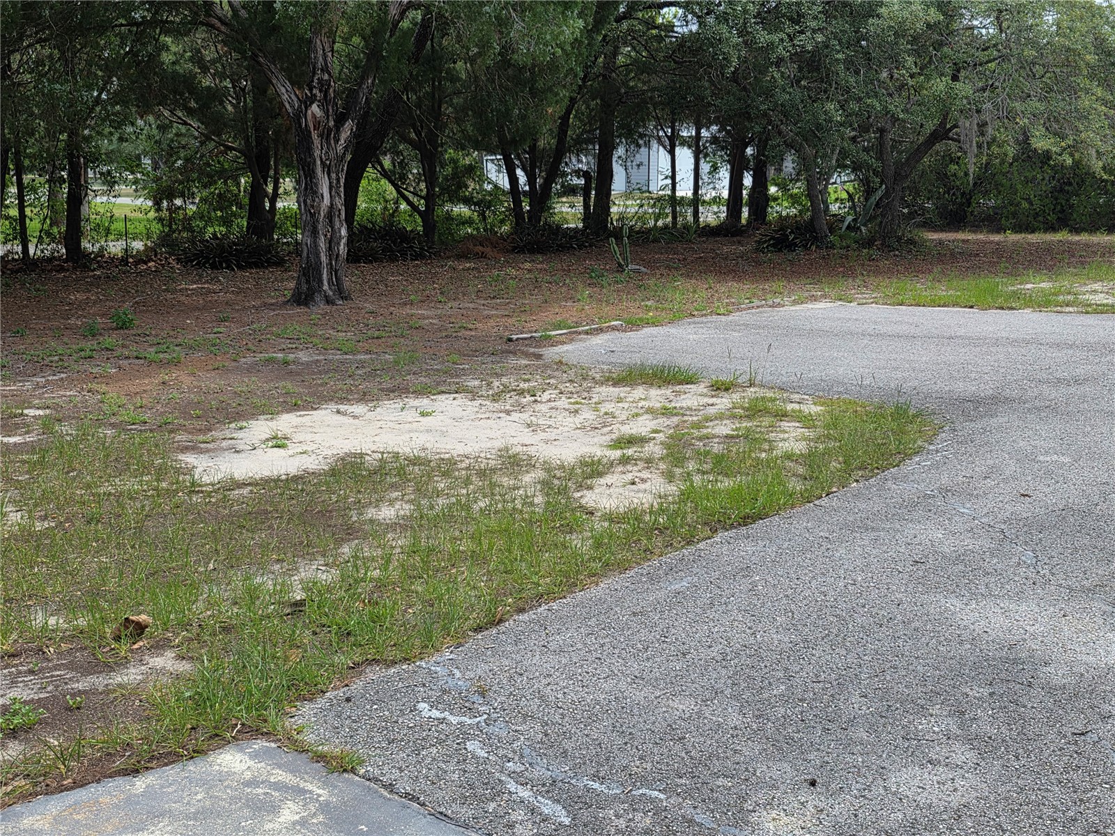 17839 Monteverde Drive Spring Hill FL 34610 W7886567 image24