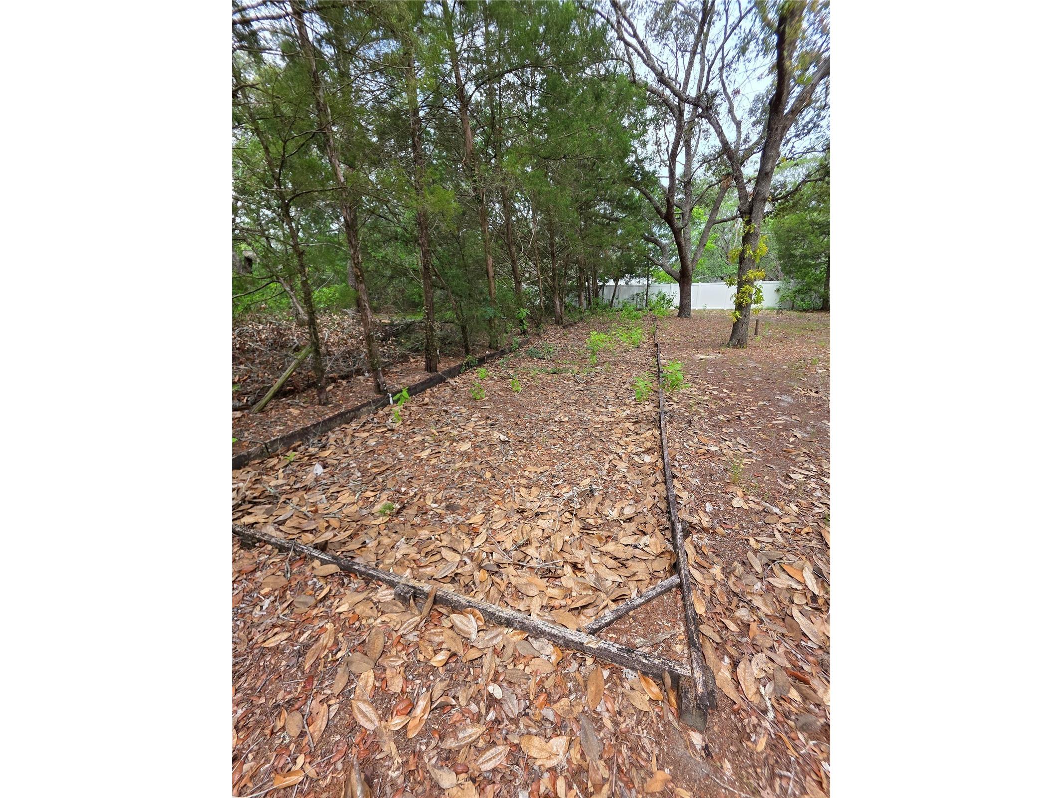 17839 Monteverde Drive Spring Hill FL 34610 W7886567 image25