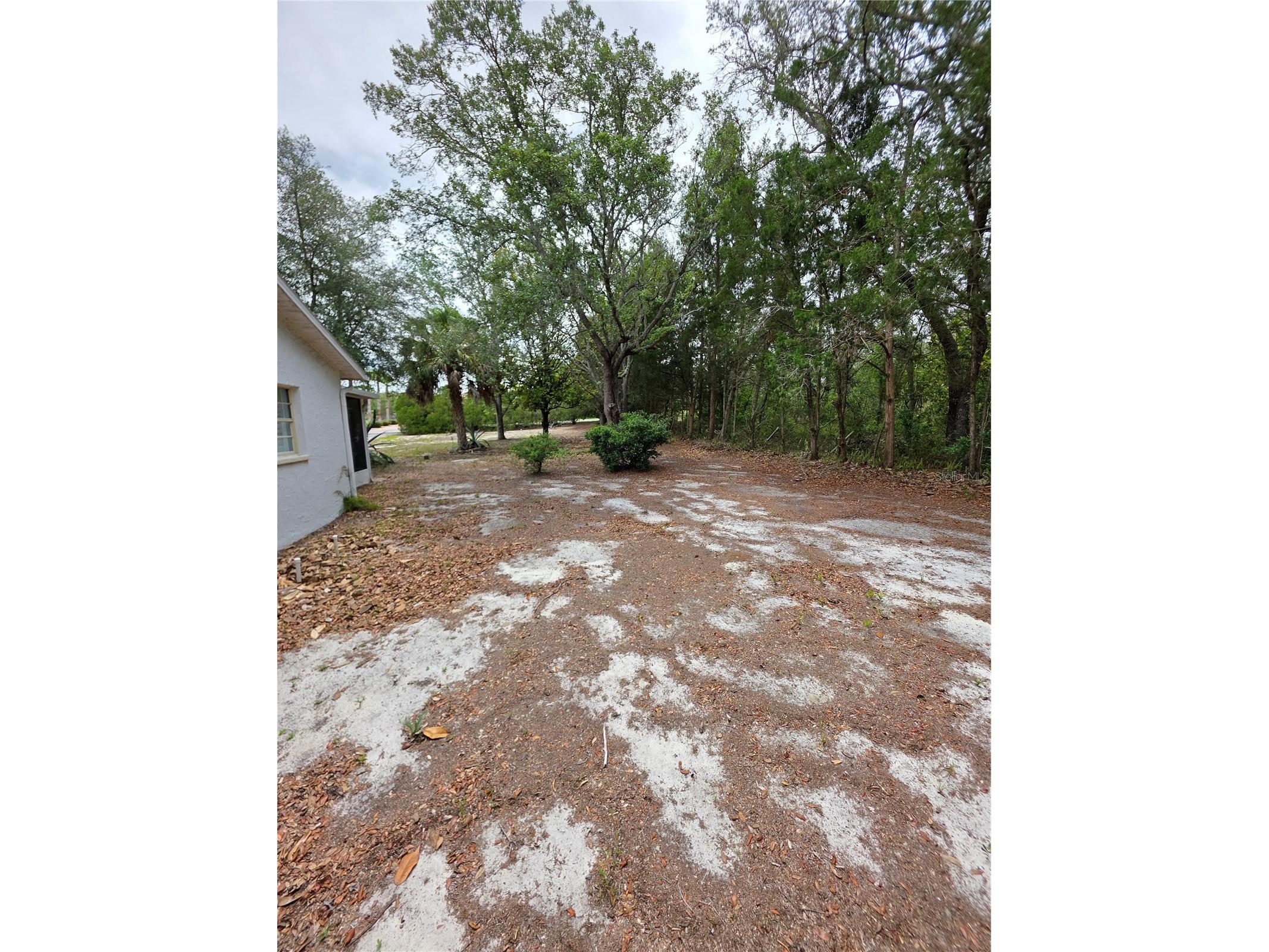 17839 Monteverde Drive Spring Hill FL 34610 W7886567 image26