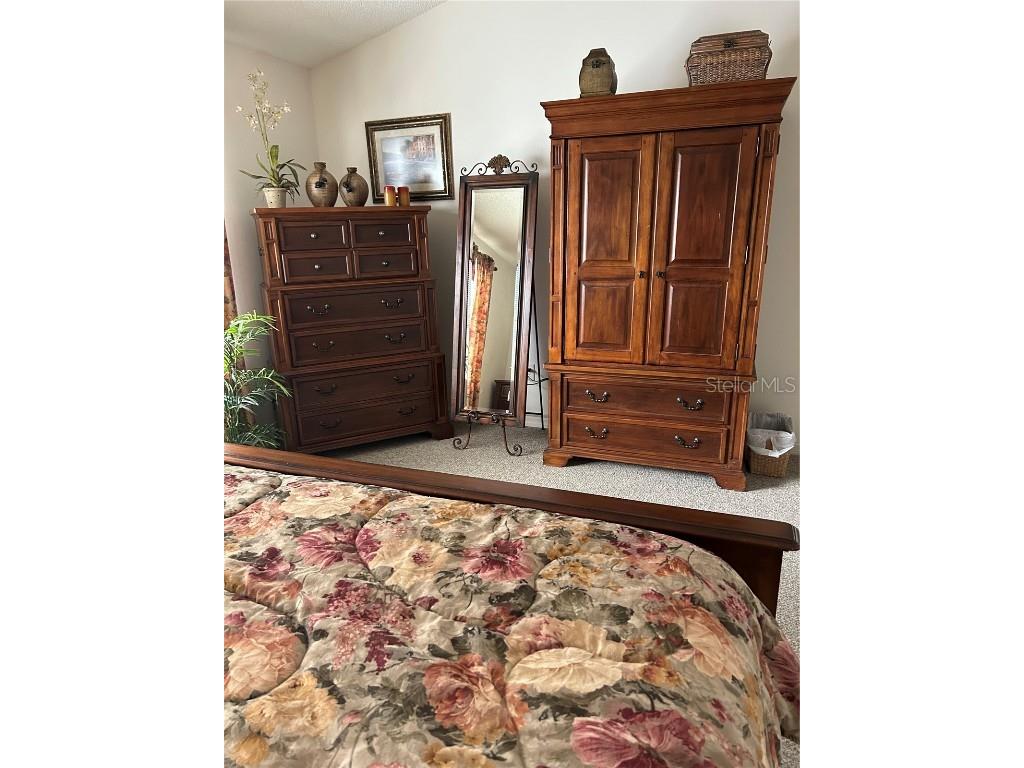 1784 Hinckley Lane The Villages FL 32162 OM705637 image21