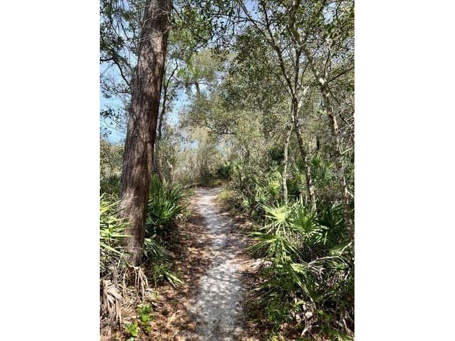 1784 Providence Boulevard Deltona FL 32725 O6348893 image57