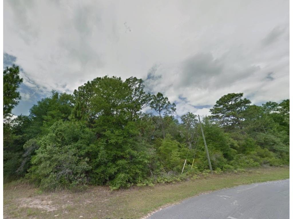 1784 W Lorraine Drive Citrus Springs FL 34434 OM715939 image2