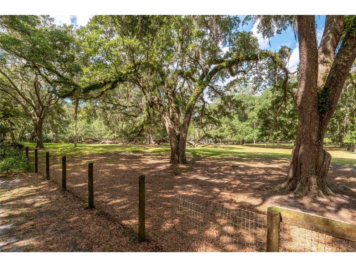 17840 NE 45th Avenue Road Citra FL 32113 OM705541 image49