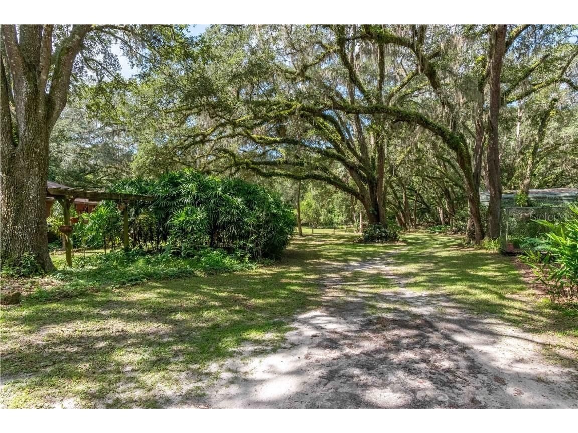 17840 NE 45th Avenue Road Citra FL 32113 OM705541 image51