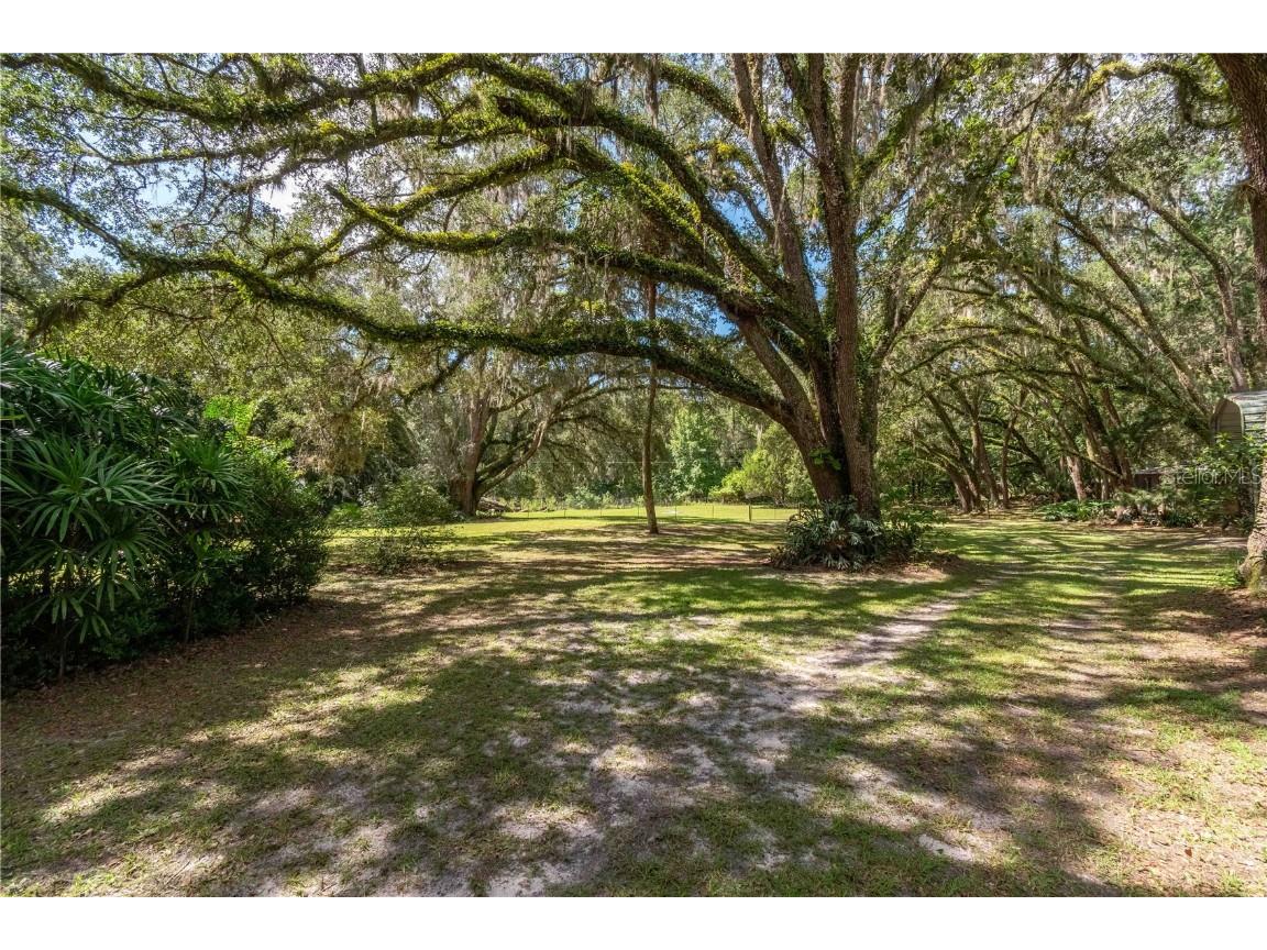 17840 NE 45th Avenue Road Citra FL 32113 OM705541 image52