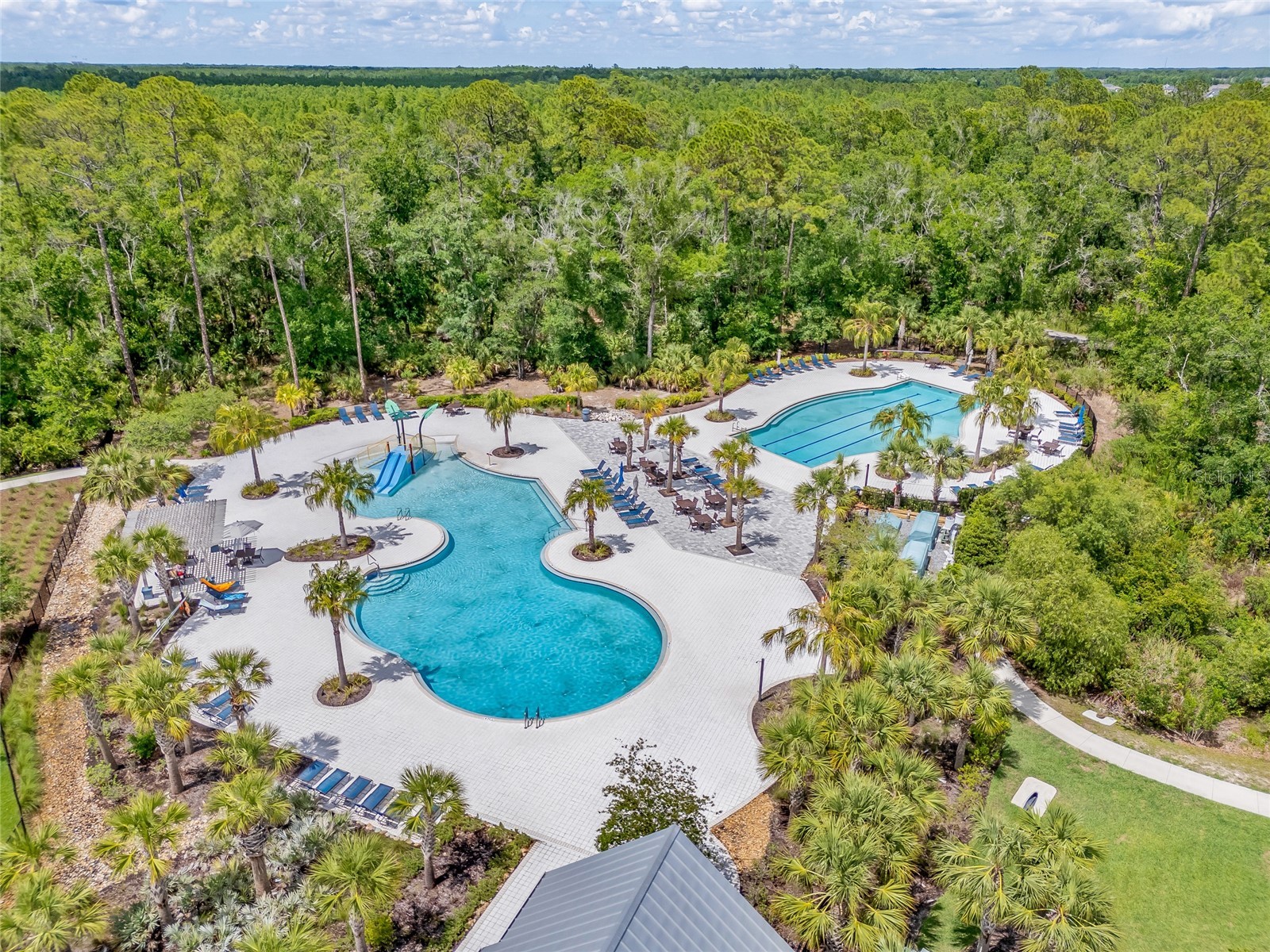 17842 Everlong Drive Land O Lakes FL 34638 TB8525399 image66