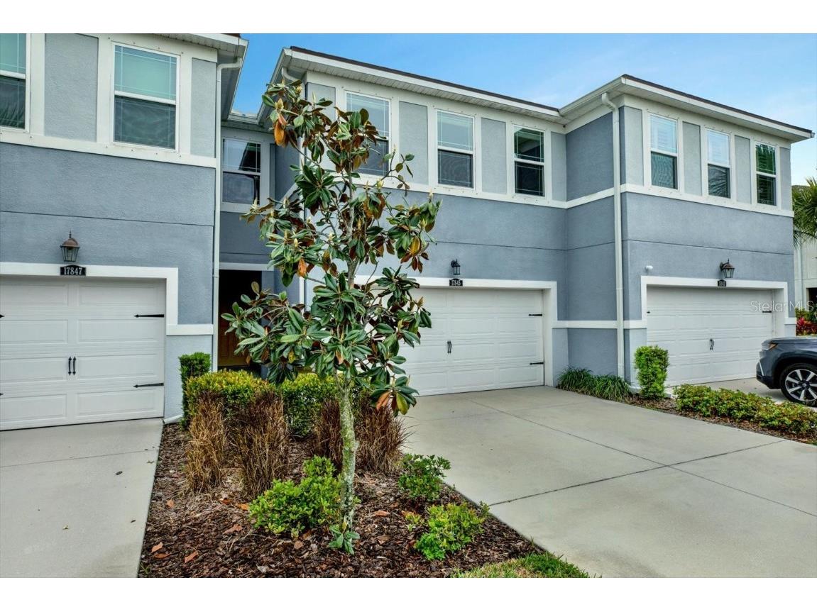 17845 Stella Moon Place Lutz FL 33558 T3508858 image1