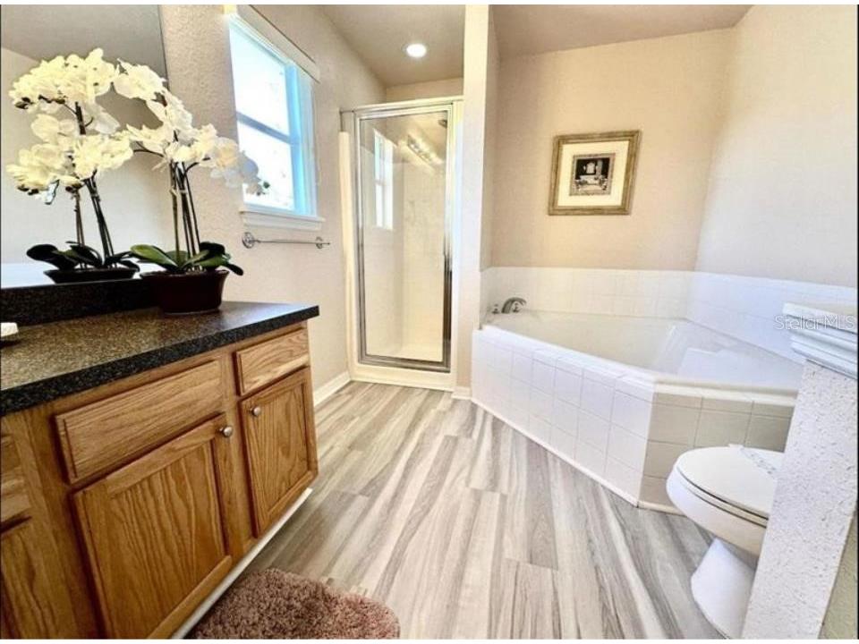 17845 Woodcrest Way Clermont FL 34714 O6356484 image14