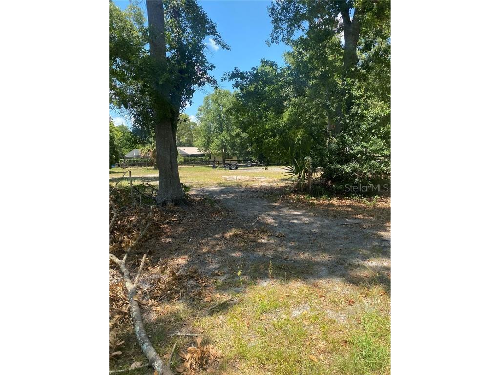 17847 Deerfield Drive Lutz FL 33558 T3536701 image1